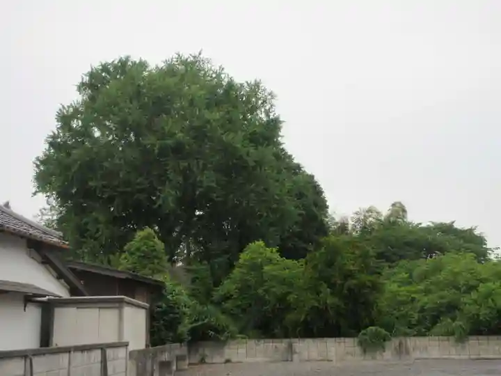 廣福寺(埼玉県)