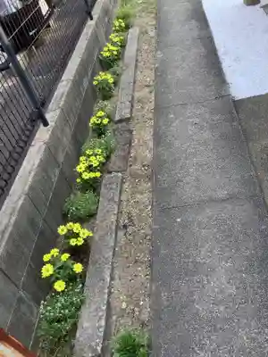 天神社(中村天神社)の自然