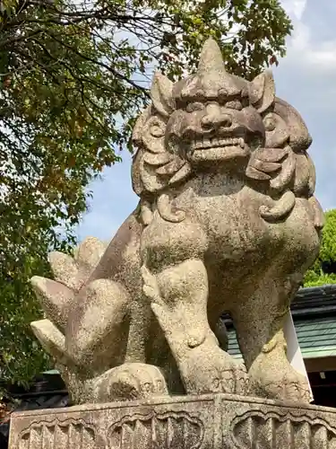御霊神社（上御霊神社）の狛犬
