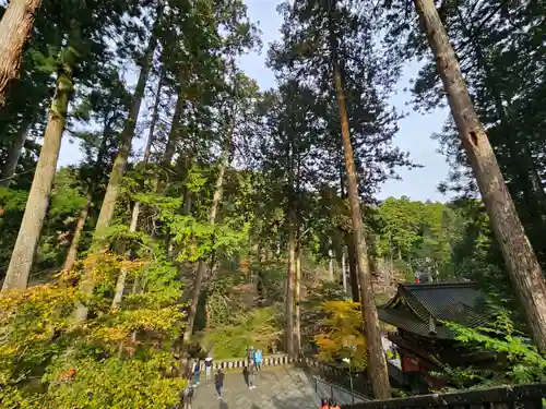 日光山輪王寺 大猷院(栃木県)