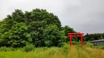 本郷神社の鳥居
