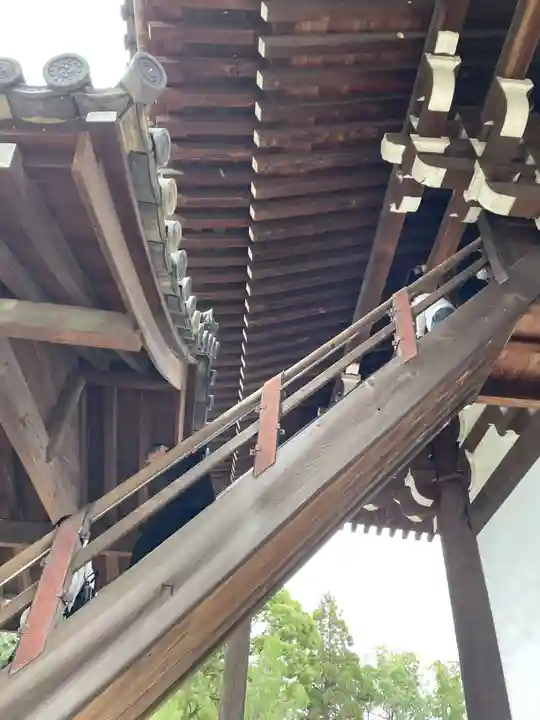 東福禅寺(東福寺)(京都府)