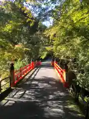 今熊野観音寺の建物その他