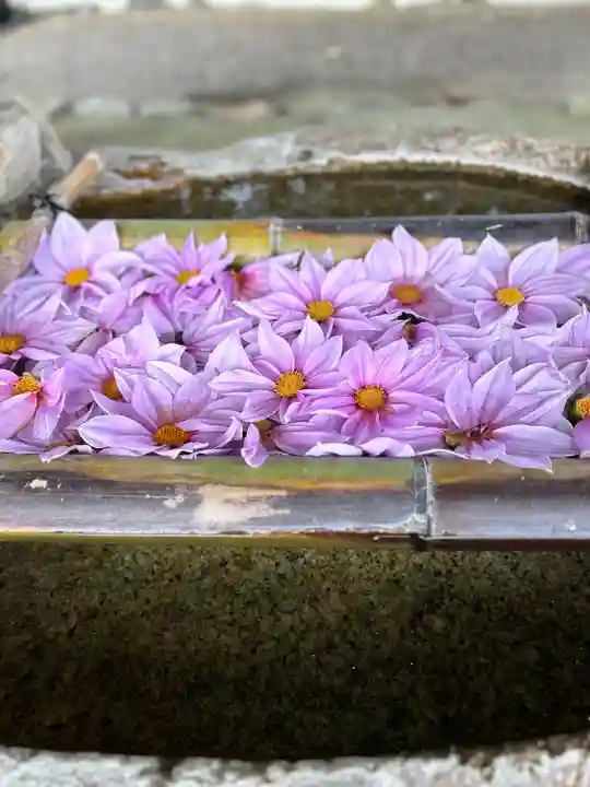 立志神社(滋賀県)