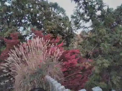 松尾山神社(奈良県)