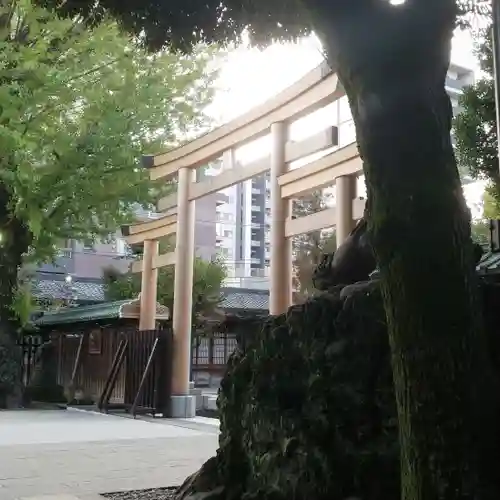 牛嶋神社の鳥居