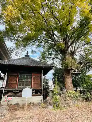 成田山高崎分院光徳寺の{uncategorized: "未分類", other: "その他", undefined: "問題あり", building: "その他建物", grave: "お墓", sacred_gate: "鳥居", guardian: "狛犬", statue: "像", buddha: "仏像", history: "歴史", nature: "自然", garden: "庭園", animal: "動物", pagoda: "塔", temizu: "手水舎", mountain_gate: "山門・神門", sanctuary: "本殿・本堂", subordinate: "末社・摂社", art: "芸術", scenery: "景色", jizo: "地蔵", ema: "絵馬", goshuin: "御朱印", omikuji: "おみくじ", items: "授与品その他", amulet: "お守り", goshuincho: "御朱印帳", eats: "食事", festival: "お祭り", votive_dance: "神楽", shichigosan: "七五三参", wedding: "結婚式", experience: "体験その他", initially: "初詣", around: "周辺", anti_infection: "感染症対策"}