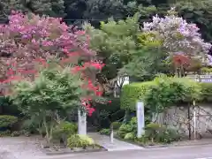 長命寺の建物その他