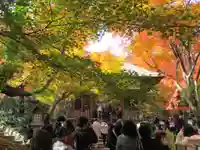 常寂光寺(京都府)