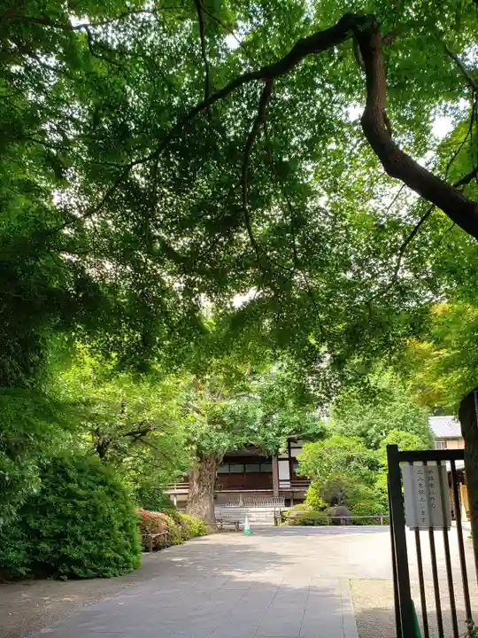 高円寺のその他建物