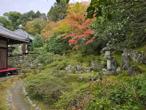 霊鑑寺門跡(京都府)