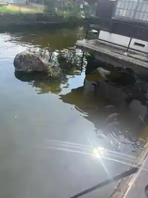 白蛇辨財天(栃木県)