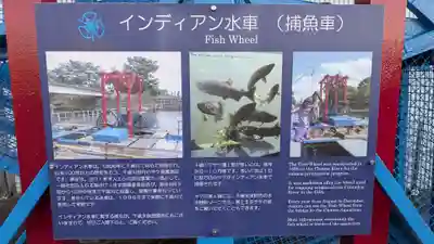 サケ神社（サケの慰霊塔）の動物