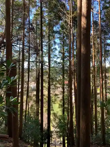賀茂神社の自然