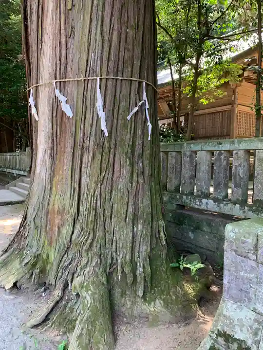 賀茂神社(群馬県)