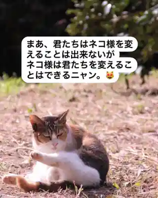 専念寺(大阪府)