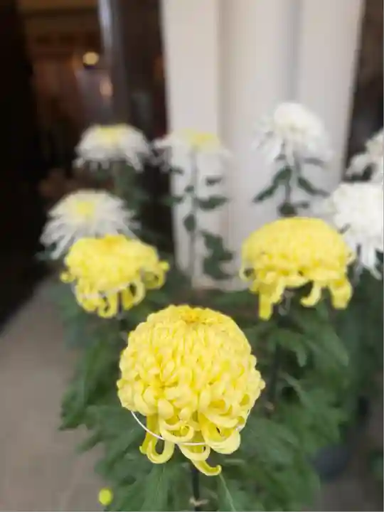 駒込天祖神社(東京都)