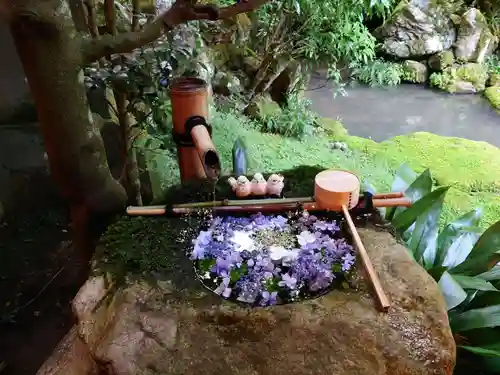 柳谷観音　楊谷寺(京都府)
