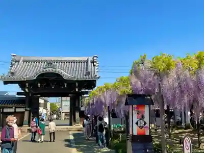 竹鼻別院の山門・神門