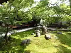 建仁寺（建仁禅寺）(京都府)