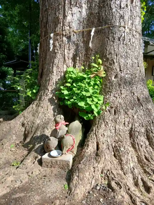 日枝神社の{uncategorized: "未分類", other: "その他", undefined: "問題あり", building: "その他建物", grave: "お墓", sacred_gate: "鳥居", guardian: "狛犬", statue: "像", buddha: "仏像", history: "歴史", nature: "自然", garden: "庭園", animal: "動物", pagoda: "塔", temizu: "手水舎", mountain_gate: "山門・神門", sanctuary: "本殿・本堂", subordinate: "末社・摂社", art: "芸術", scenery: "景色", jizo: "地蔵", ema: "絵馬", goshuin: "御朱印", omikuji: "おみくじ", items: "授与品その他", amulet: "お守り", goshuincho: "御朱印帳", eats: "食事", festival: "お祭り", votive_dance: "神楽", shichigosan: "七五三参", wedding: "結婚式", experience: "体験その他", initially: "初詣", around: "周辺", anti_infection: "感染症対策"}