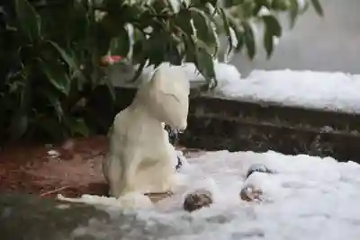 開成山大神宮の手水舎