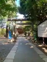 青山熊野神社の鳥居