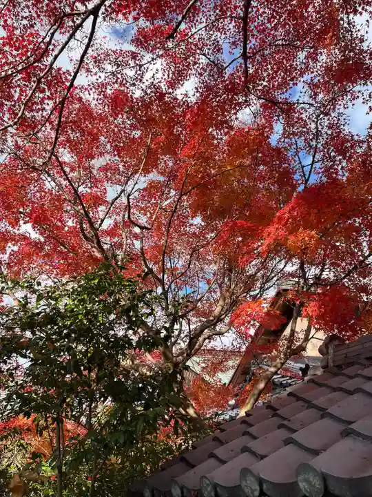 神應寺(京都府)