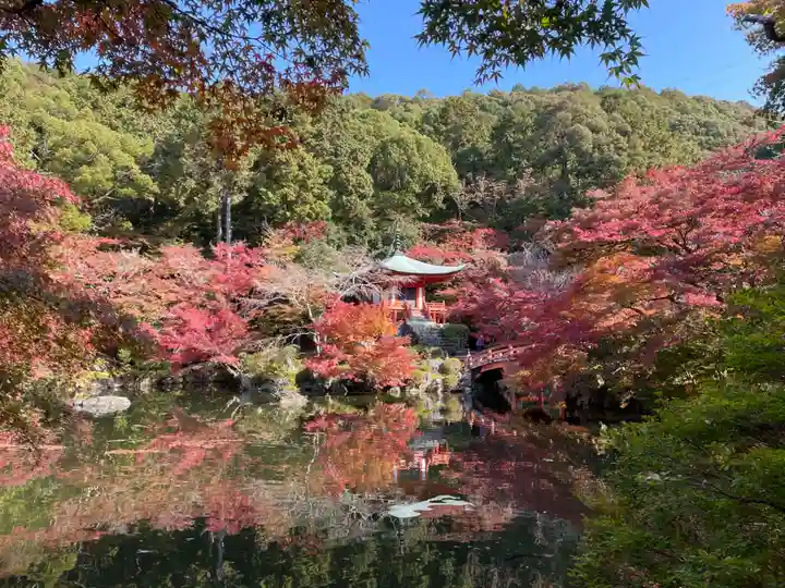 醍醐寺(京都府)