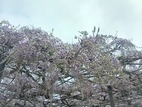 竹鼻別院(岐阜県)