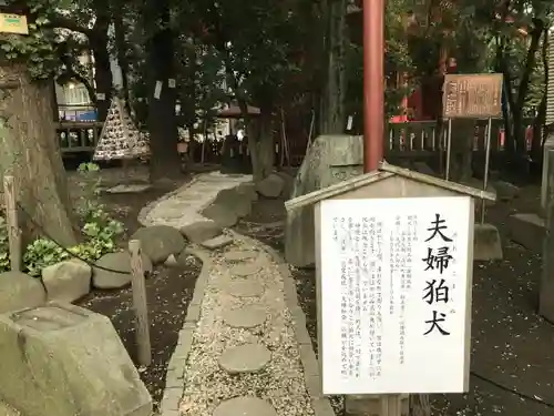 浅草神社の狛犬