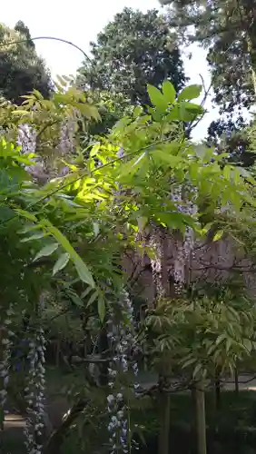 歌泉堂（春日大社神苑萬葉植物園内鎮座）(奈良県)
