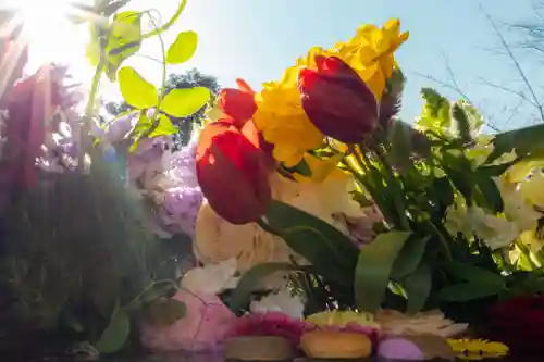 勝林寺(京都府)