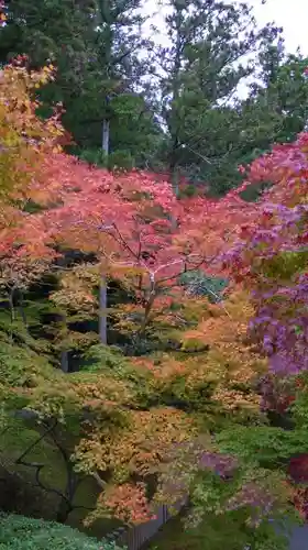 今熊野観音寺の自然