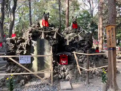 豊川閣　妙厳寺の狛犬