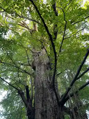 王子神社(東京都)
