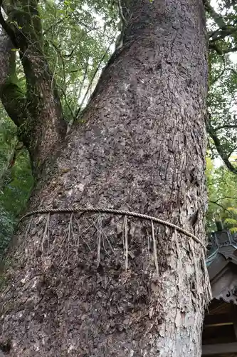 玉園稲荷神社(長崎県)