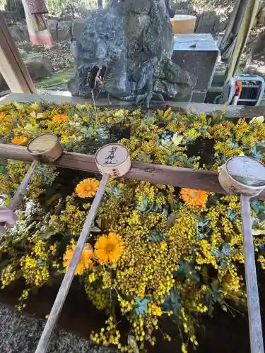 清洲山王宮　日吉神社の{uncategorized: "未分類", other: "その他", undefined: "問題あり", building: "その他建物", grave: "お墓", sacred_gate: "鳥居", guardian: "狛犬", statue: "像", buddha: "仏像", history: "歴史", nature: "自然", garden: "庭園", animal: "動物", pagoda: "塔", temizu: "手水舎", mountain_gate: "山門・神門", sanctuary: "本殿・本堂", subordinate: "末社・摂社", art: "芸術", scenery: "景色", jizo: "地蔵", ema: "絵馬", goshuin: "御朱印", omikuji: "おみくじ", items: "授与品その他", amulet: "お守り", goshuincho: "御朱印帳", eats: "食事", festival: "お祭り", votive_dance: "神楽", shichigosan: "七五三参", wedding: "結婚式", experience: "体験その他", initially: "初詣", around: "周辺", anti_infection: "感染症対策"}