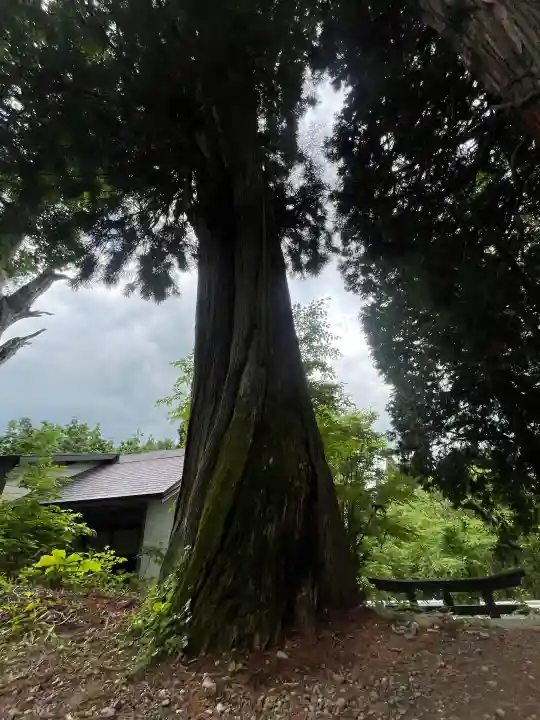 戸隠神社火之御子社(長野県)
