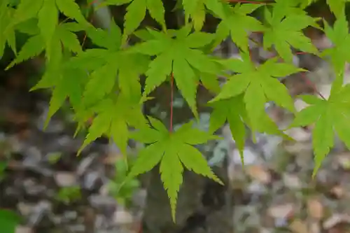 円成寺(奈良県)