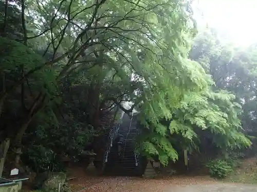 岩上神社の自然