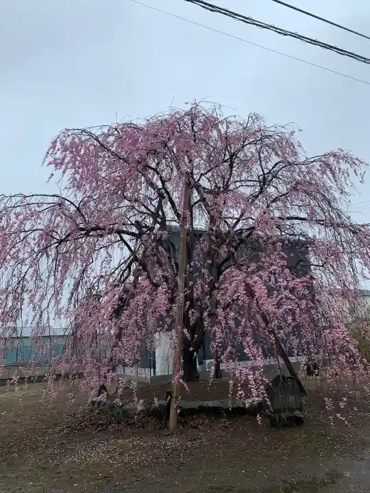 満願寺(埼玉県)