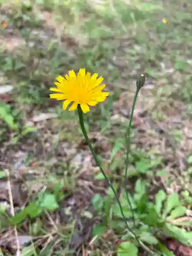 宇倍神社の自然