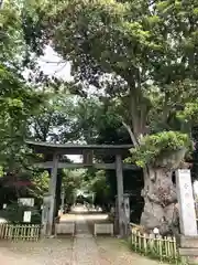 畑子安神社の鳥居