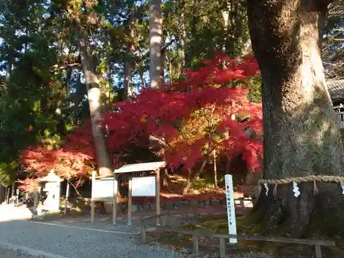 事任八幡宮の景色