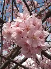 かっぱの寺 栖足寺の自然