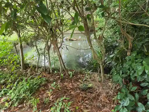 氷川神社(埼玉県)