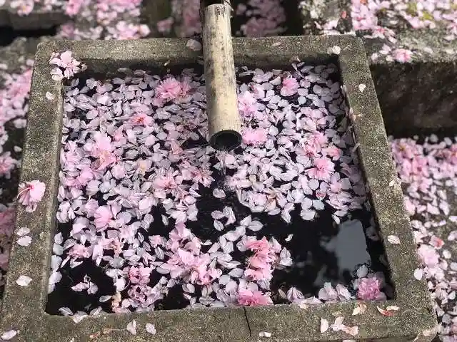 木舟山 順教寺の手水舎