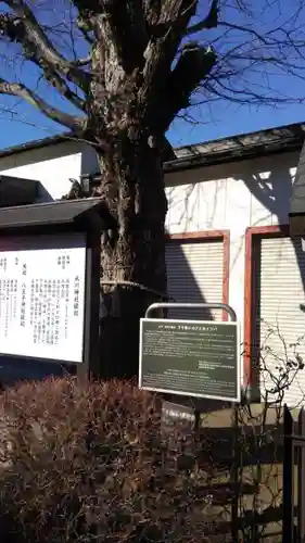 葛飾氷川神社の自然