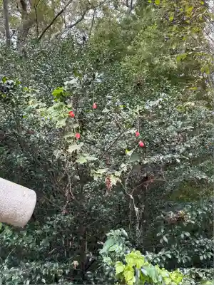 下野 星宮神社(栃木県)